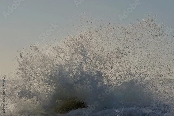 Obraz surf onda mare sea