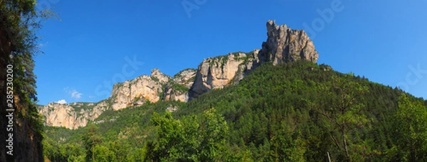 Fototapeta Panoramic view of the famous Gorges du Tarn, canyon dug by the Tarn between Causse Méjean and the Causse de Sauveterre