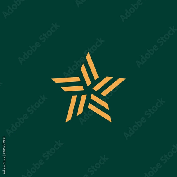 Obraz Star logo element vector emblem modern design