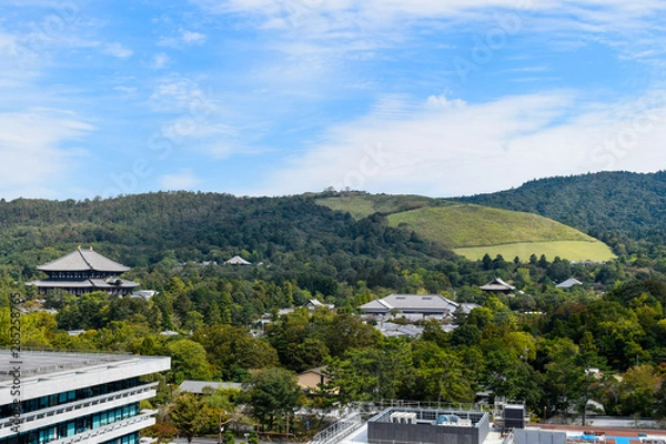 Fototapeta 奈良　都市風景