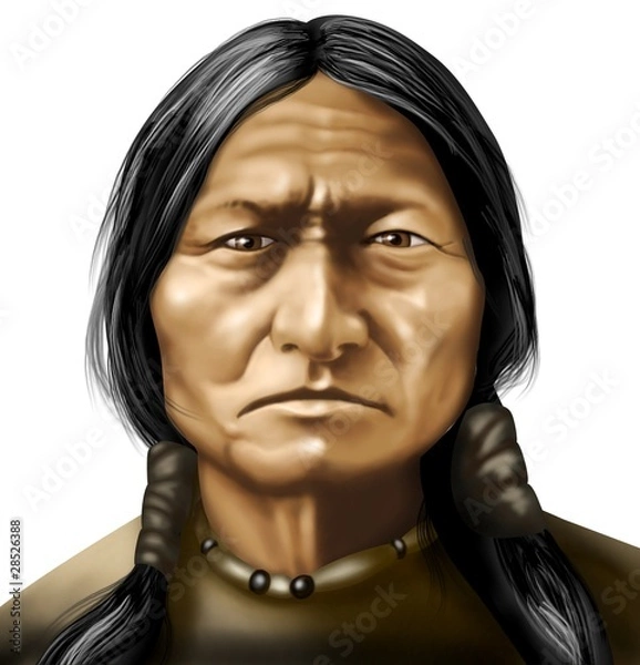 Obraz toro seduto (white)