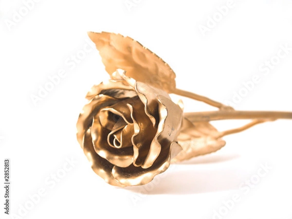 Obraz goldene rose
