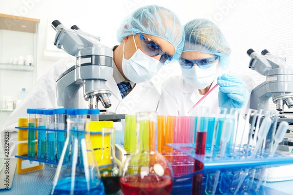 Fototapeta Science team