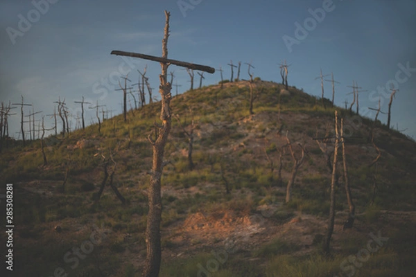 Fototapeta Forest crosses