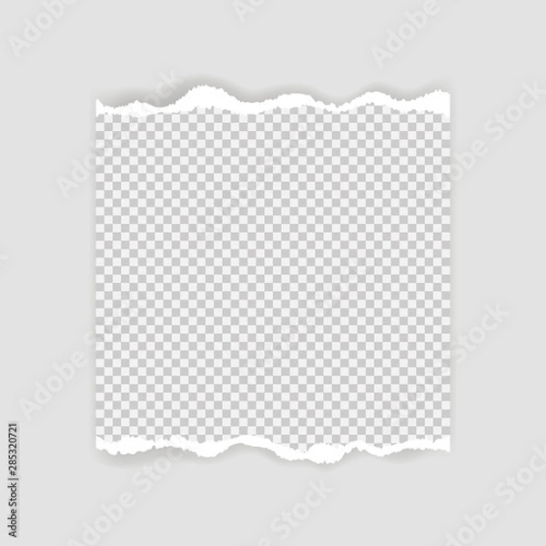 Fototapeta Blank sheet of torn paper for text or message. Torn paper edge. Torn paper stripes. Vector illustration