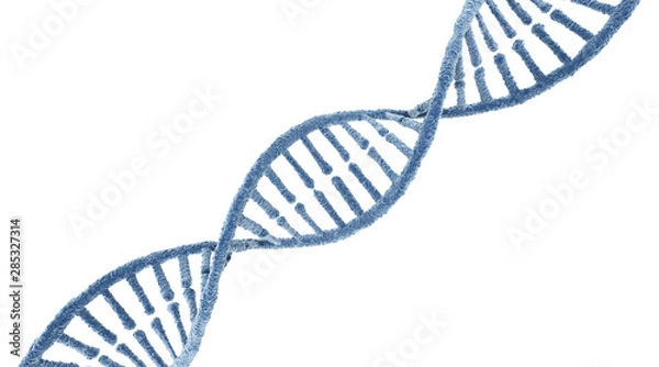 Obraz DNA molecule