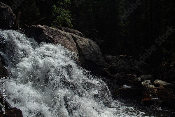 Obraz waterfall in forest