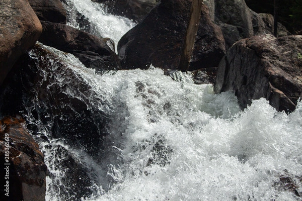 Obraz waterfall in forest