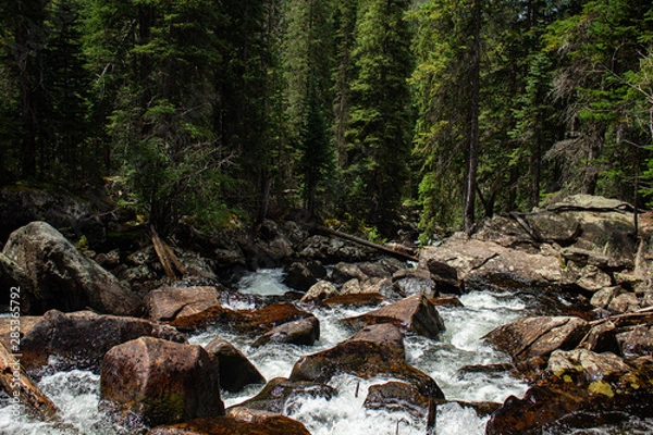 Obraz mountain stream in the forest