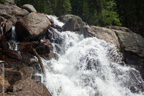 Obraz waterfall in the forest
