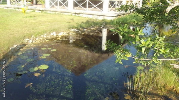Obraz rio