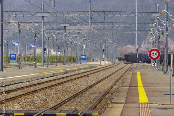 Fototapeta 철도. 봄. 풍경. 물류. 철길. 여행. 봄꽃. 관광열차.