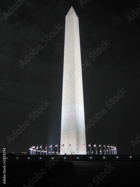 Obraz washington monument