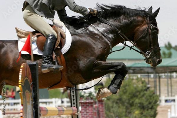 Obraz crossing the hurdle - equestrian theme