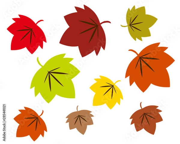 Fototapeta 紅葉　楓　メープル　落ち葉　もみじ　アイコン　秋