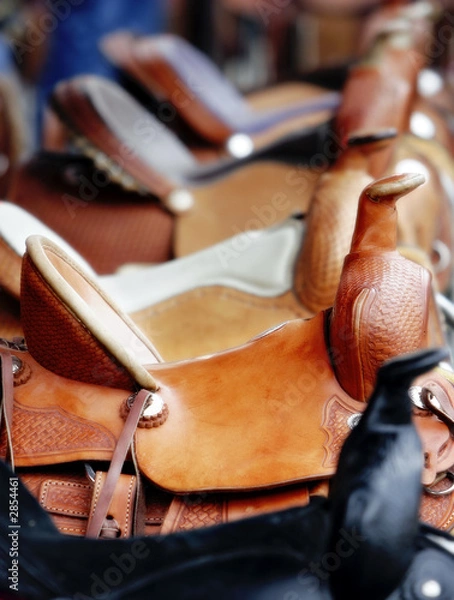 Obraz line of saddles