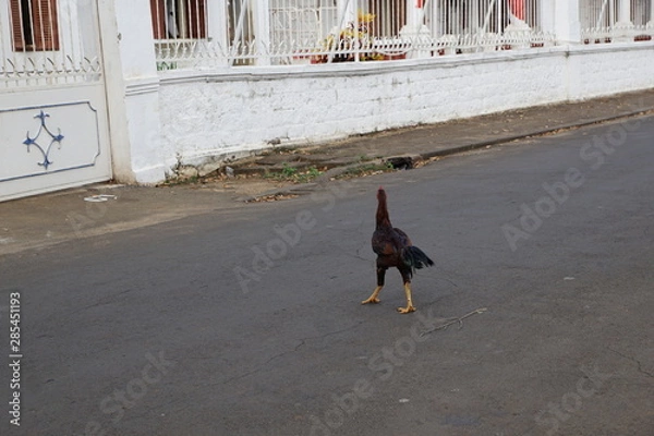 Obraz Regierungsgebäude in afrika in antsiranana in madagaskar