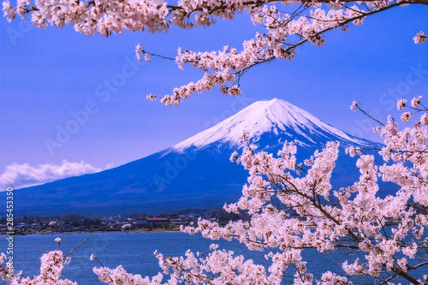 Obraz 富士山と桜