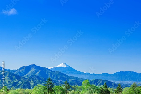Obraz 新緑の木立と富士山