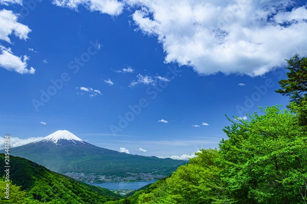 Obraz 富士山と雲と新緑の木立