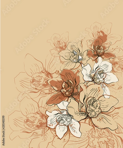 Fototapeta vector background with   hand drawn orchids