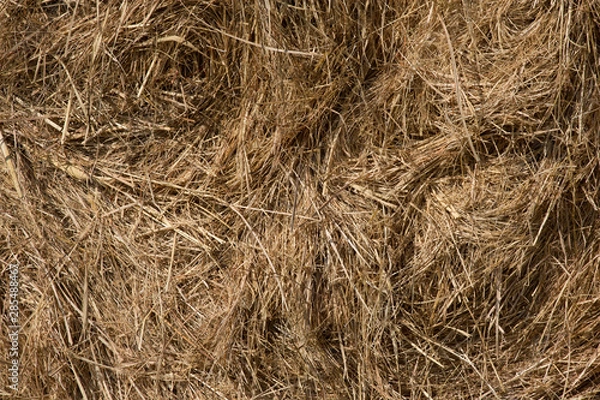 Fototapeta Stroh / Hintergrund