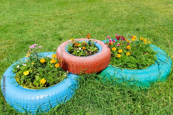 Obraz цветы в шинах