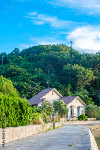 Obraz rural landscape