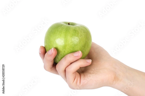 Obraz green apple on hand isolated