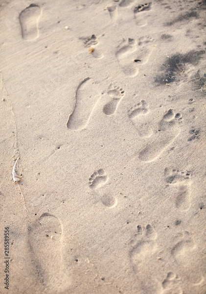 Obraz des pas en avant