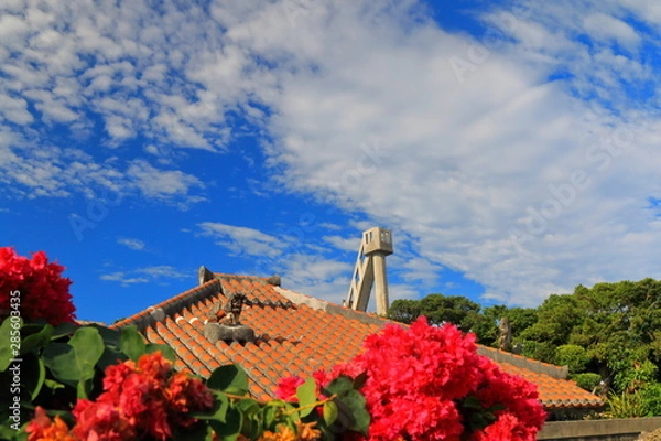 Obraz 沖縄の街並み