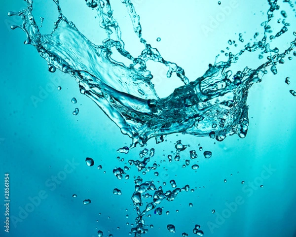 Fototapeta WaterSplshes