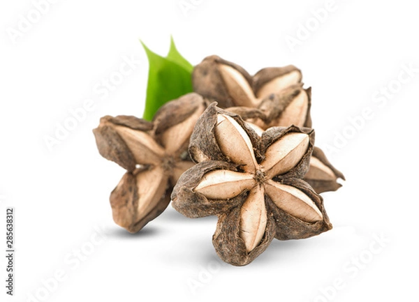 Obraz Sacha inchi peanut seed isolate on white background