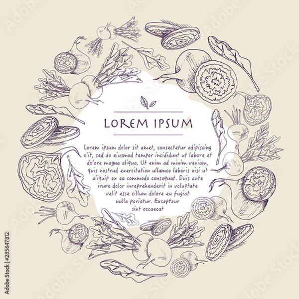 Fototapeta Vector wreath with beet root vegetable hand drawn circle ivory background with food