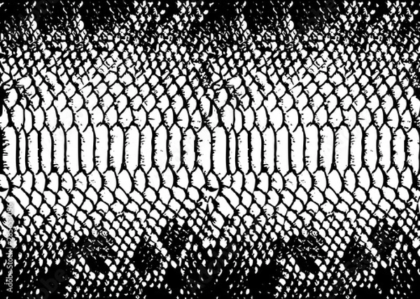 Obraz texture pattern black white snake crocodile reptile seamless repeat. Print
