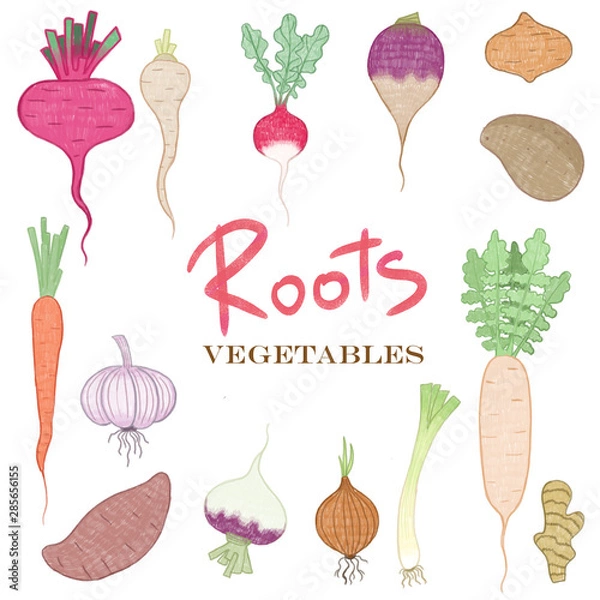 Obraz illustrations set vegetables