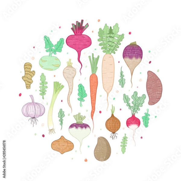 Fototapeta illustrations set vegetables