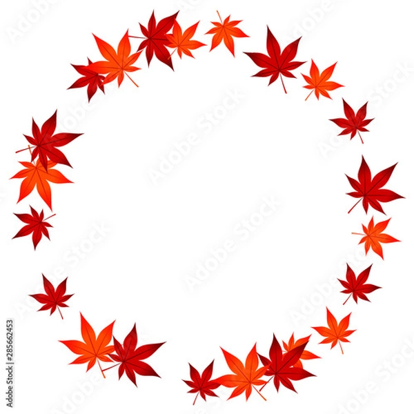 Obraz フレーム もみじの輪 Autumn leaves frame