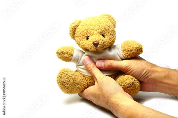Obraz the  hands of adult holding a brown baer doll  on white background isolated