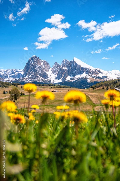 Fototapeta Seiser Alm