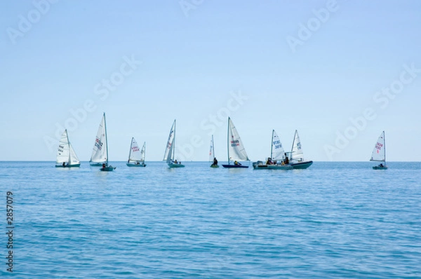 Obraz sailing regatta, yeppoon,central queensland