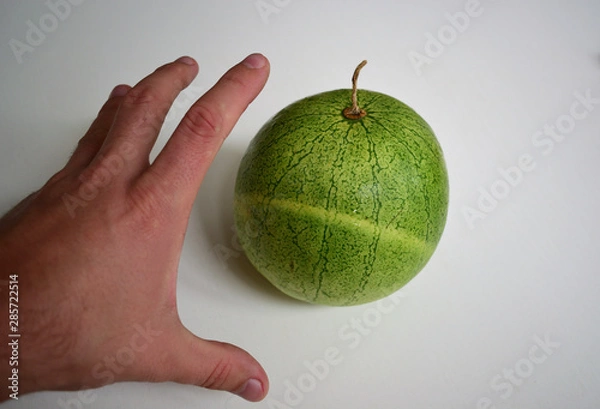 Obraz take a watermelon