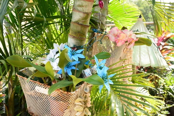 Obraz Flowers in Palm Tree