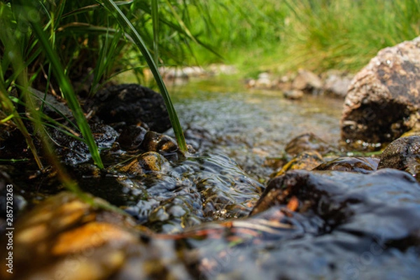 Obraz stream in forest
