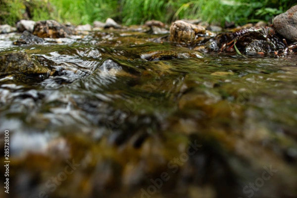 Obraz stream in the forest