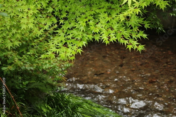 Fototapeta 湯布院町　風景