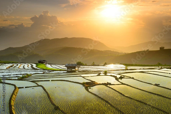 Obraz terraced fields on the mountain