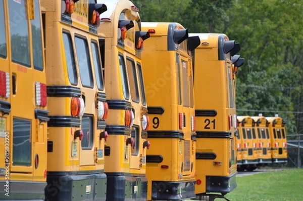 Obraz buses parked in a line