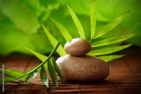 Fototapeta tranquil SPA