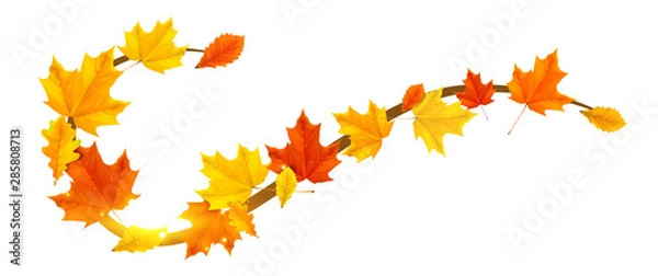 Fototapeta autumn border element with colored leaves